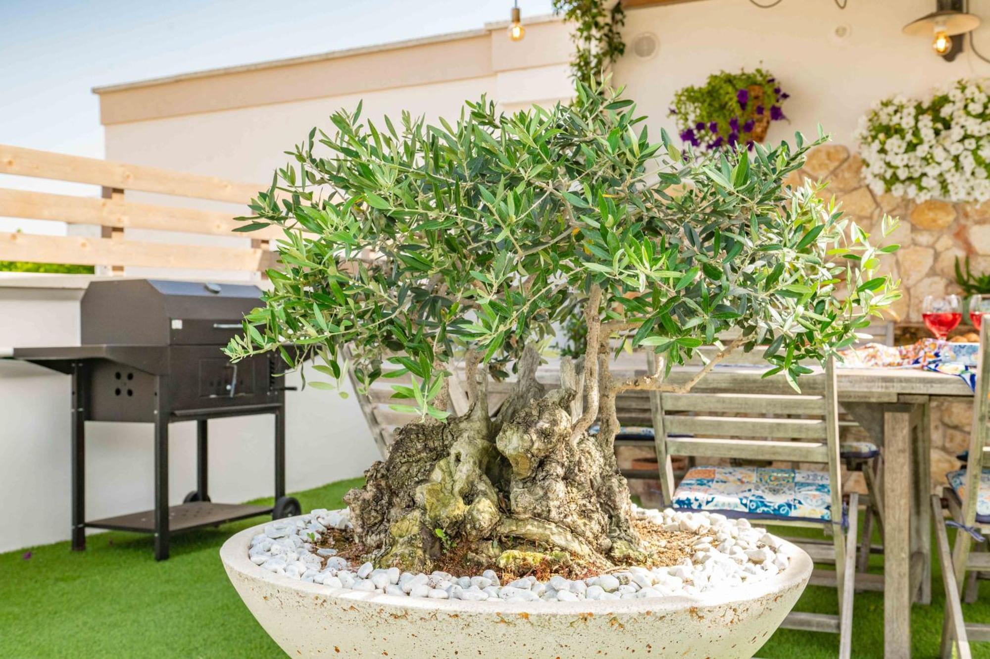 Il Panoramico Villa Neviano Eksteriør billede